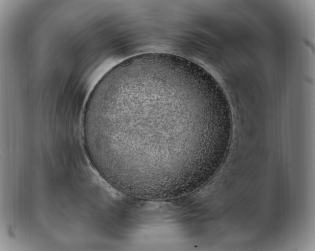 X0000103431056200809191656