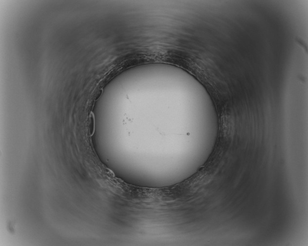 X0000103431057200809191655