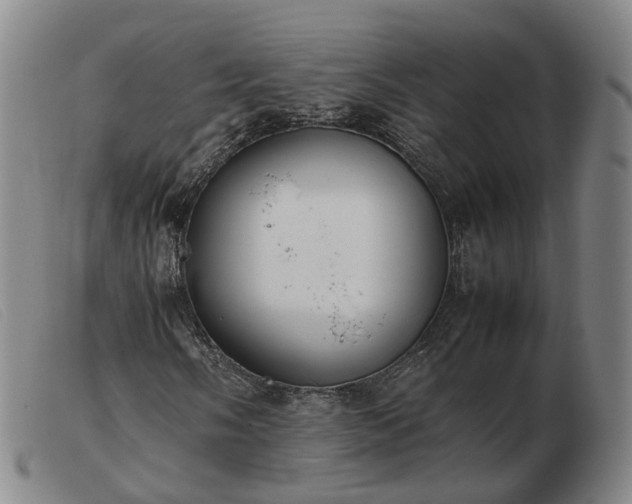 X0000103431058200809191655