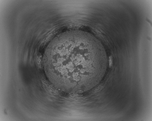 X0000103431059200809191655