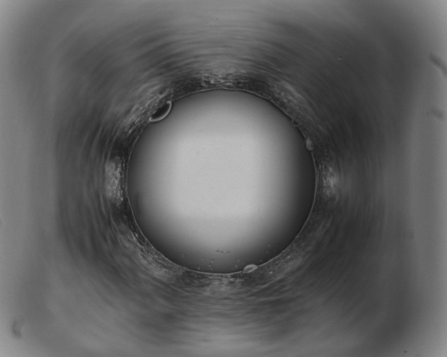 X0000103431060200809191655
