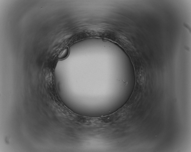 X0000103431061200809191655