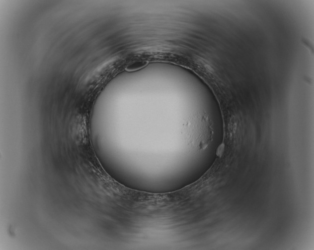 X0000103431062200809191655