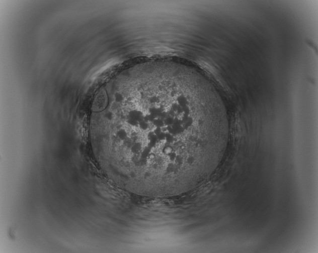X0000103431063200809191655