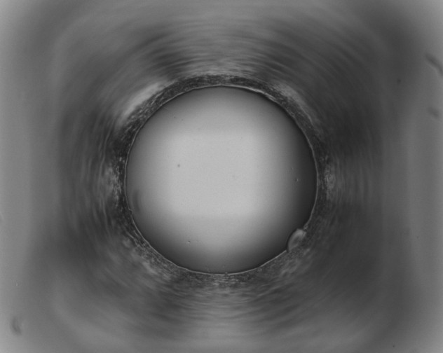 X0000103431064200809191655
