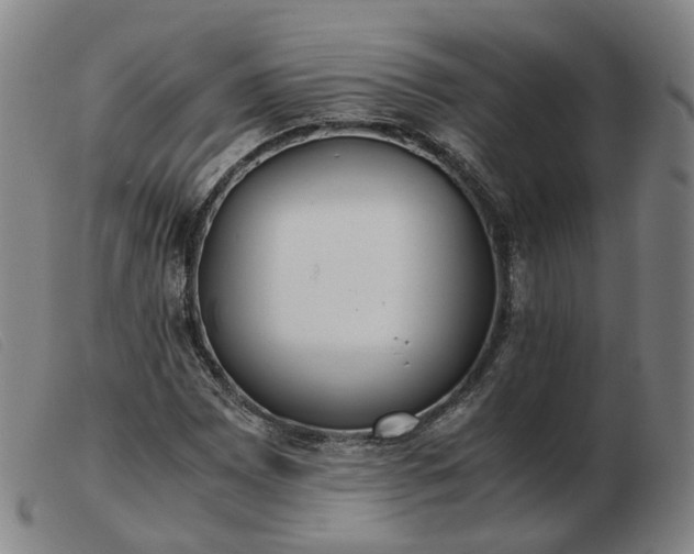 X0000103431065200809191655