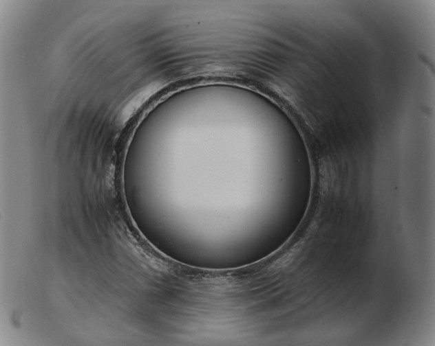 X0000103431066200809191655