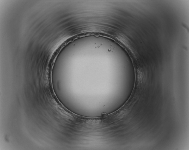 X0000103431068200809191655