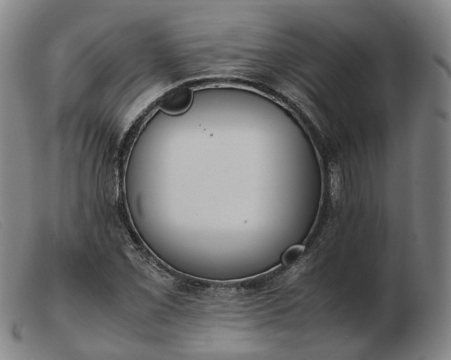 X0000103431069200809191655