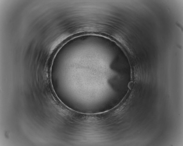 X0000103431070200809191655