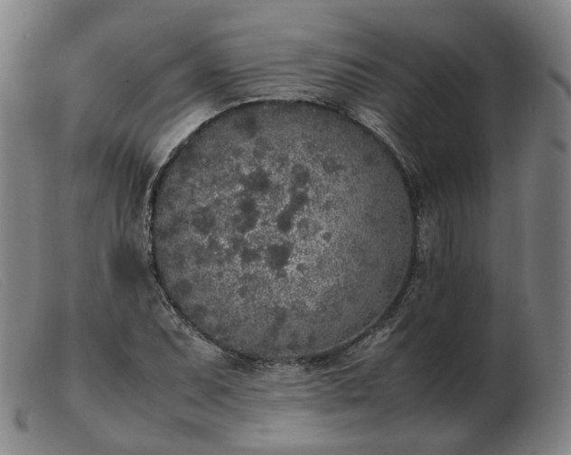 X0000103431071200809191655