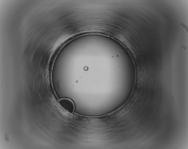 X0000103431072200809191655