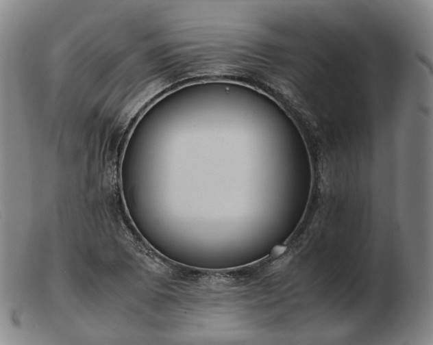 X0000103431073200809191655