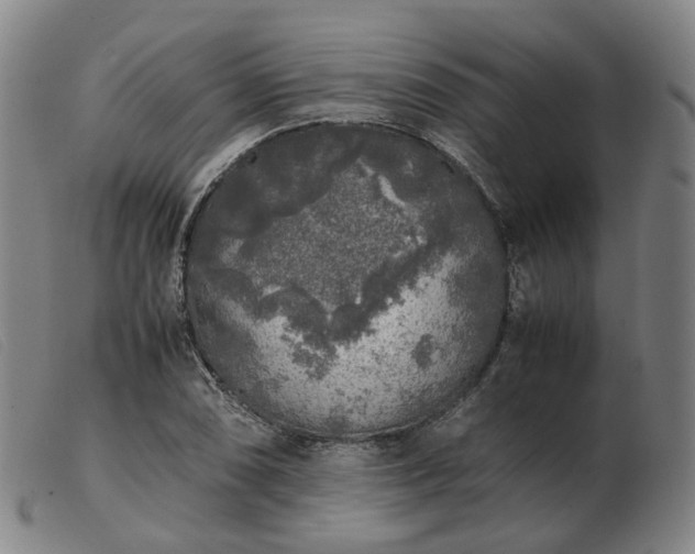 X0000103431074200809191655
