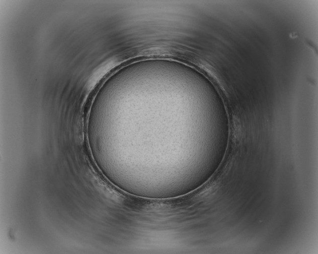 X0000103431075200809191655