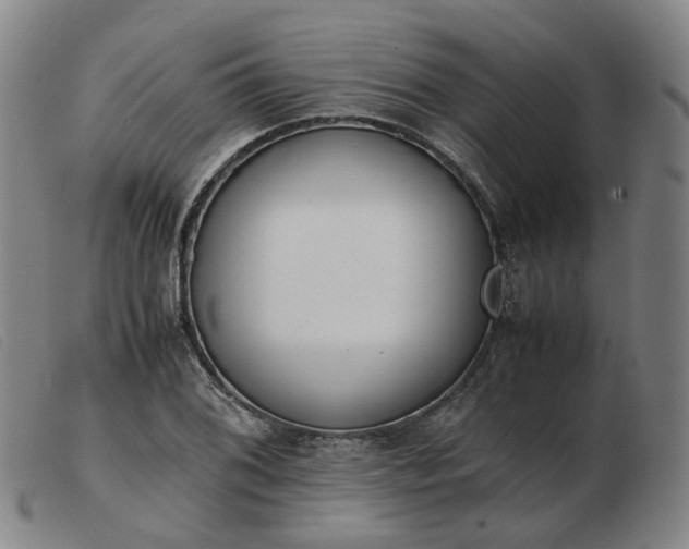 X0000103431076200809191655