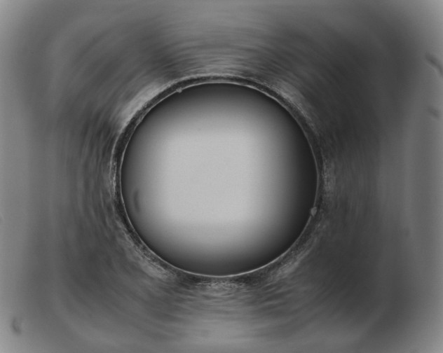X0000103431077200809191655