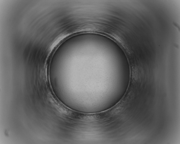 X0000103431078200809191655