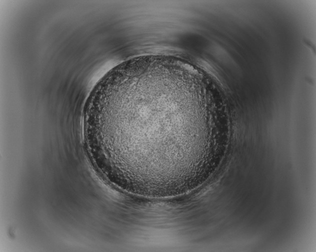 X0000103431079200809191655