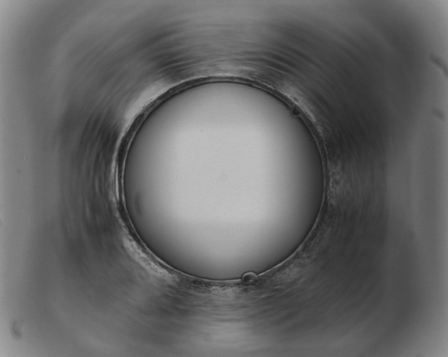 X0000103431080200809191655