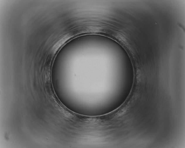 X0000103431081200809191655