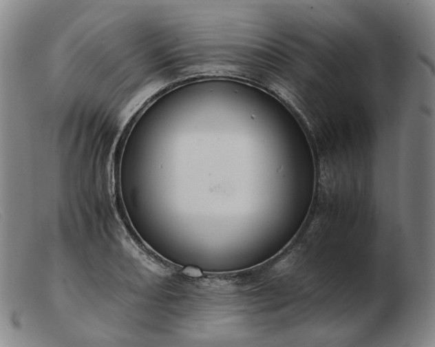 X0000103431082200809191655