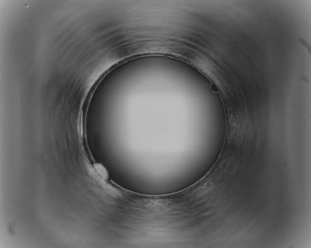 X0000103431084200809191655