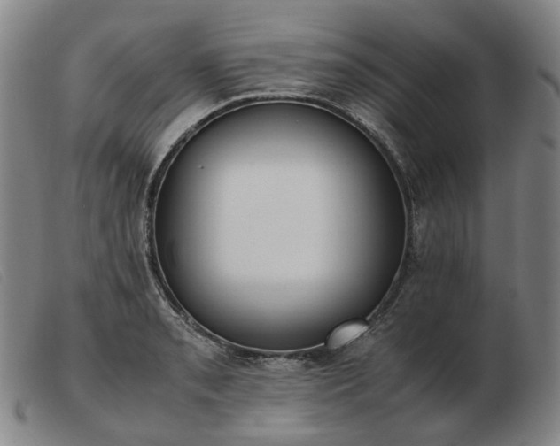 X0000103431085200809191655