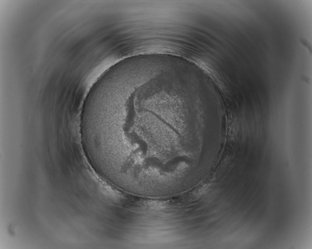 X0000103431086200809191655