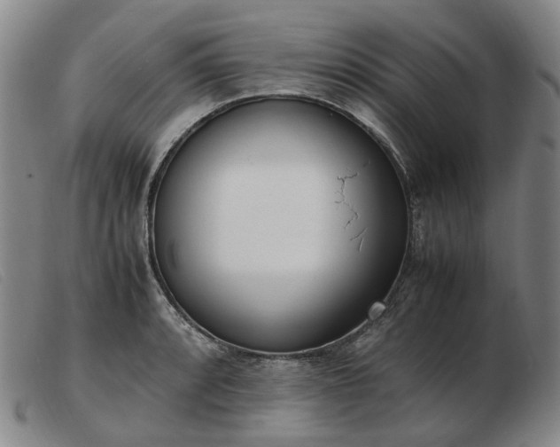 X0000103431088200809191655