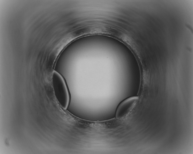 X0000103431089200809191655