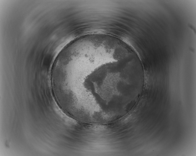 X0000103431090200809191655