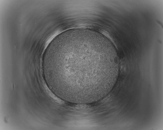 X0000103431091200809191655