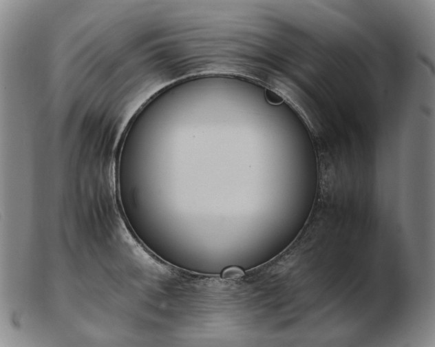 X0000103431092200809191655