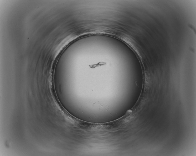 X0000103431093200809191655