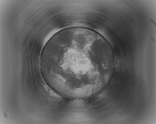 X0000103431094200809191655