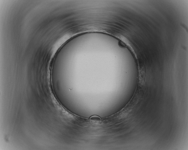 X0000103431096200809191655