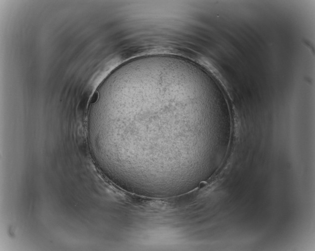 X0000103431097200809191655
