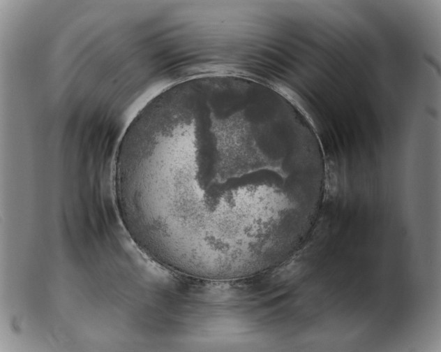 X0000103431098200809191655