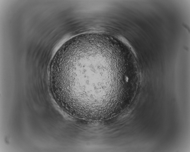 X0000103431099200809191655