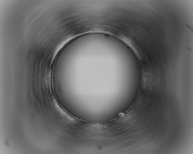 X0000103431100200809191655