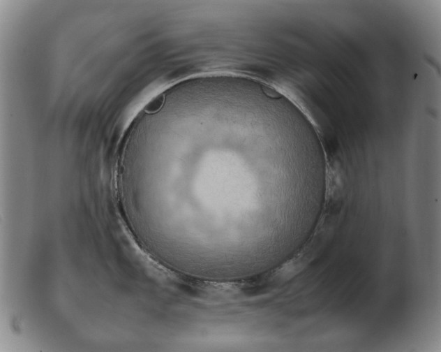 X0000103431101200809191655