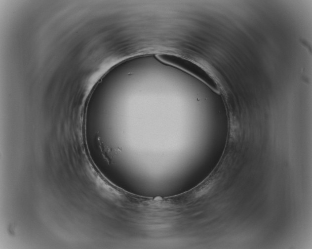 X0000103431102200809191655
