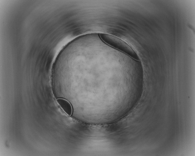 X0000103431104200809191655