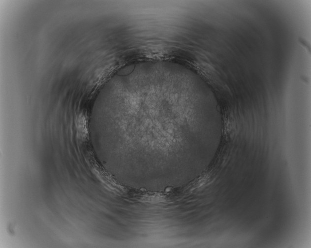 X0000103431106200809191654