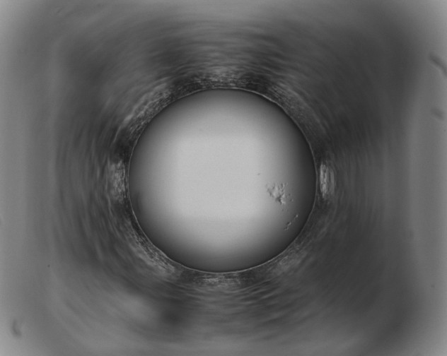 X0000103431107200809191654