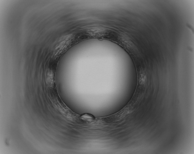 X0000103431108200809191654