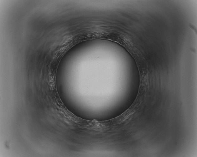 X0000103431109200809191654