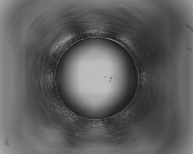 X0000103431111200809191654