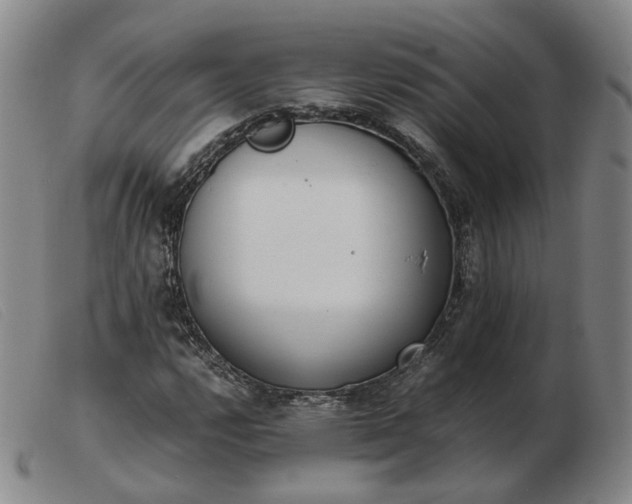X0000103431112200809191654